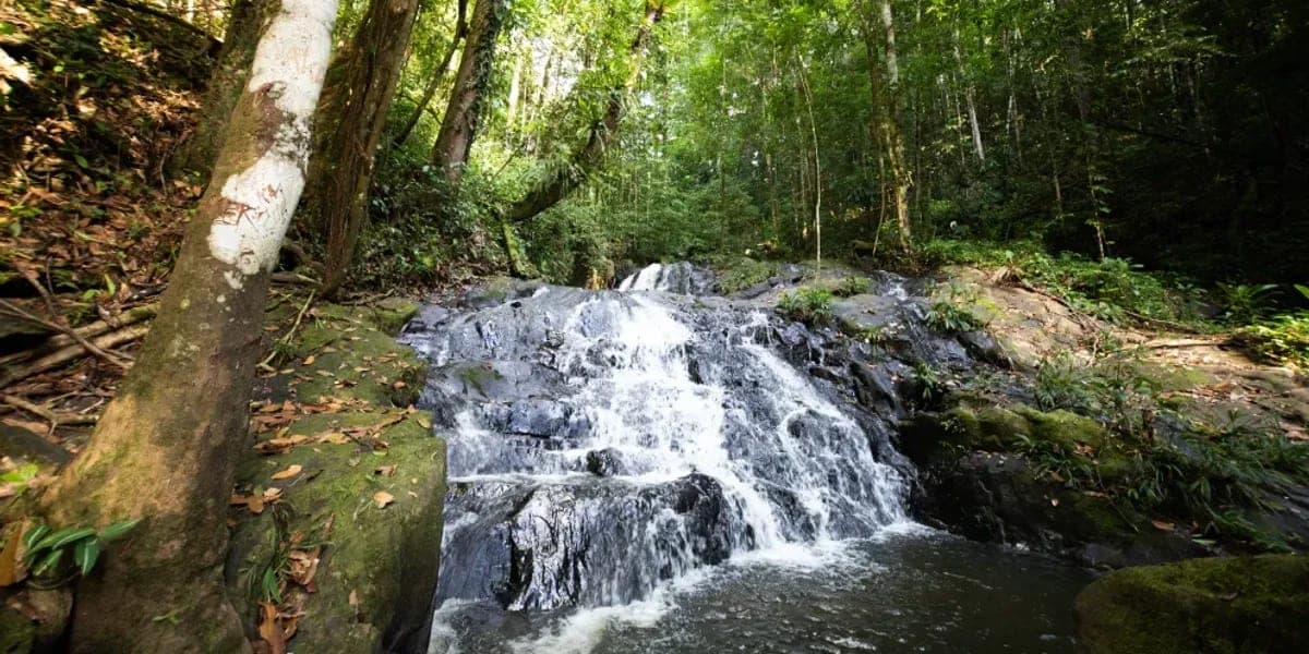 Covoiturage à Maripasoula, Guyane