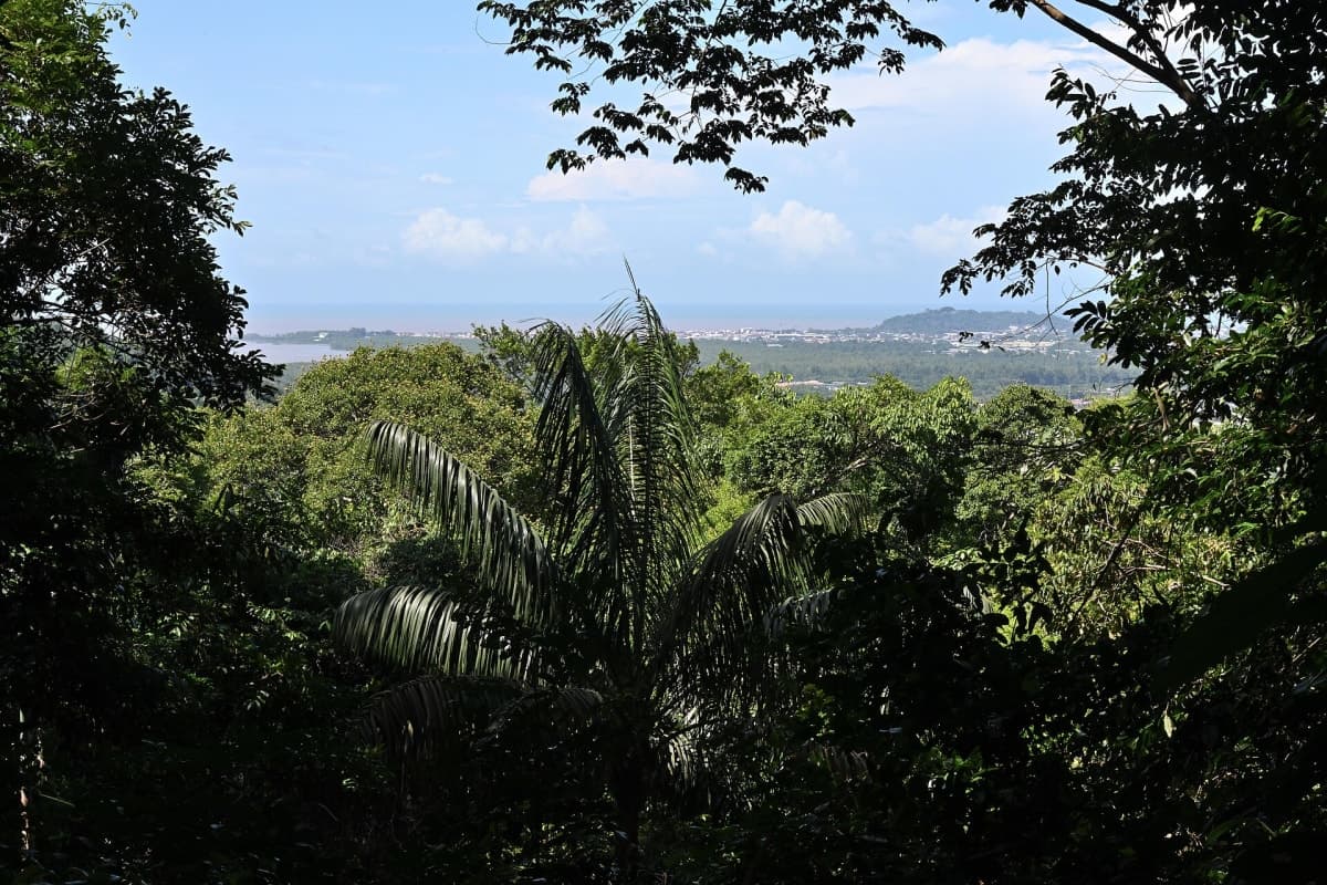 Covoiturage à Matoury, Guyane