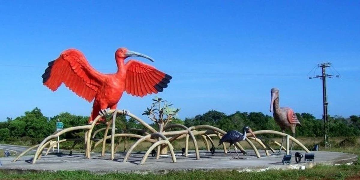 Covoiturage à Sinnamary, Guyane